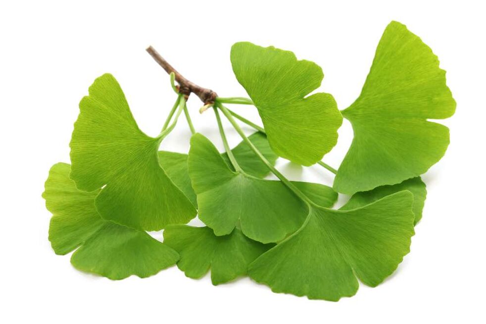 gingko biloba v kapslích Glucoren